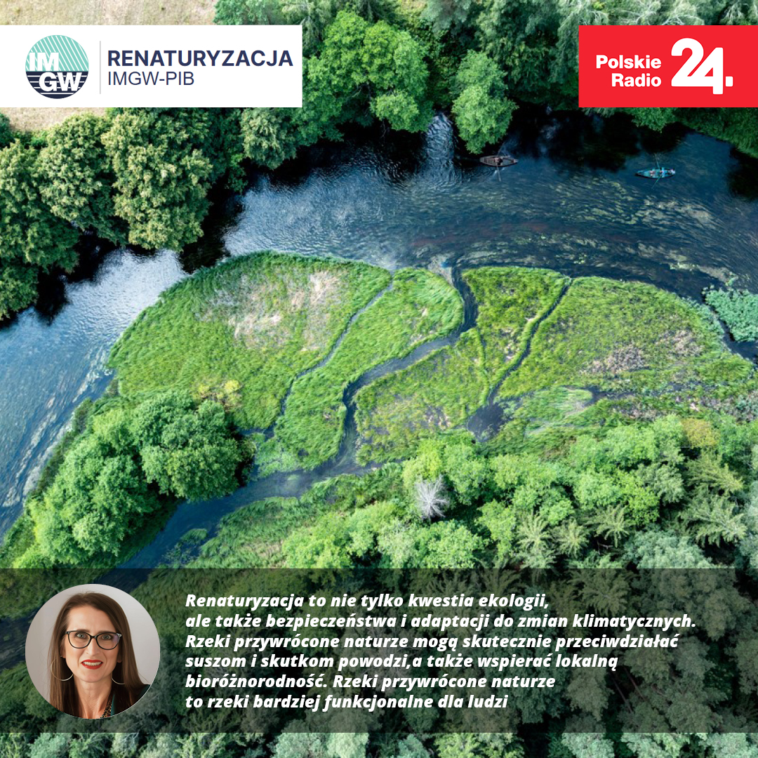 Rzeki przywrócone naturze